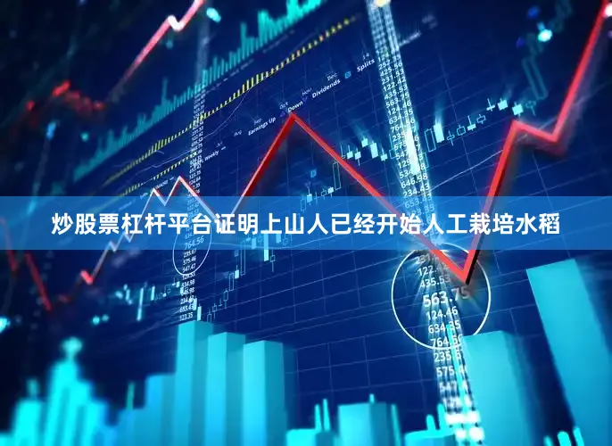 炒股票杠杆平台证明上山人已经开始人工栽培水稻