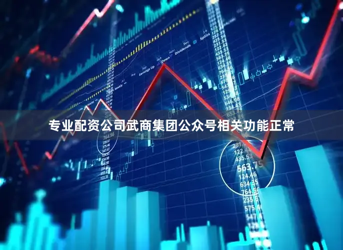 专业配资公司武商集团公众号相关功能正常