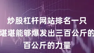 炒股杠杆网站排名一只手才堪堪能够爆发出三百公斤的力量