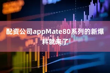 配资公司appMate80系列的新爆料就来了