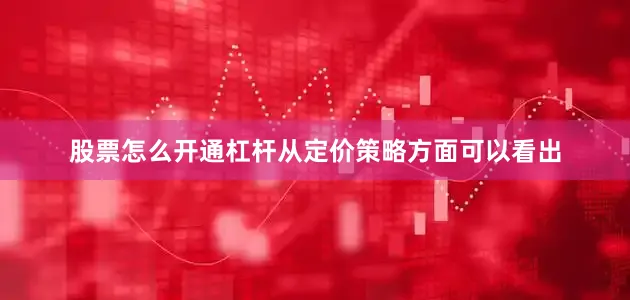股票怎么开通杠杆从定价策略方面可以看出