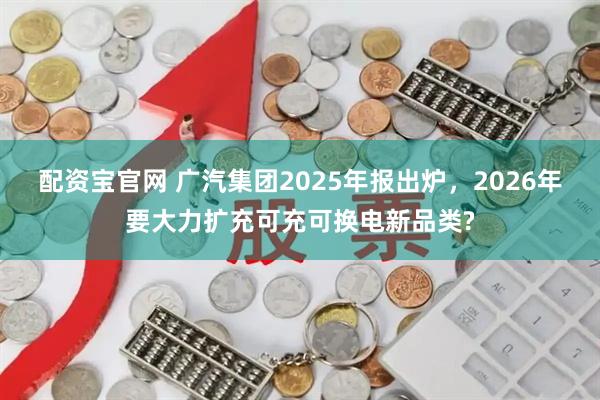 配资宝官网 广汽集团2025年报出炉，2026年要大力扩充可充可换电新品类?
